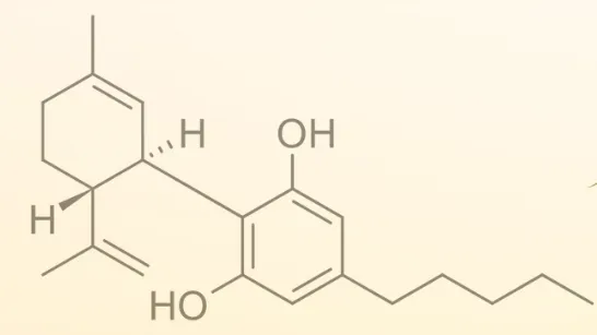 CBD eli kannabidioli on hampusta löytyvä kannabinoidi.